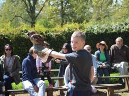 Cotswold Falconry Harvey Sparrow with Owl